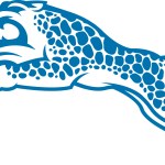 Blue Springs South