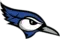 Central Minnesota Christian