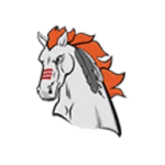Mohawk